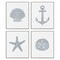 Stupell Industries Minimal Shells & Anchor 4pc Framed Giclee Wall Art Set Design by Jetty Home, LLC